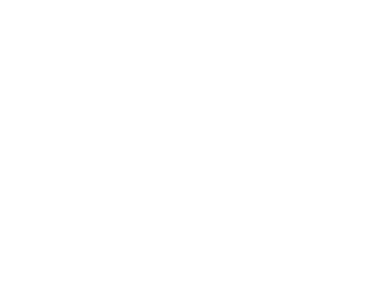 logo-stilizzato-trasp